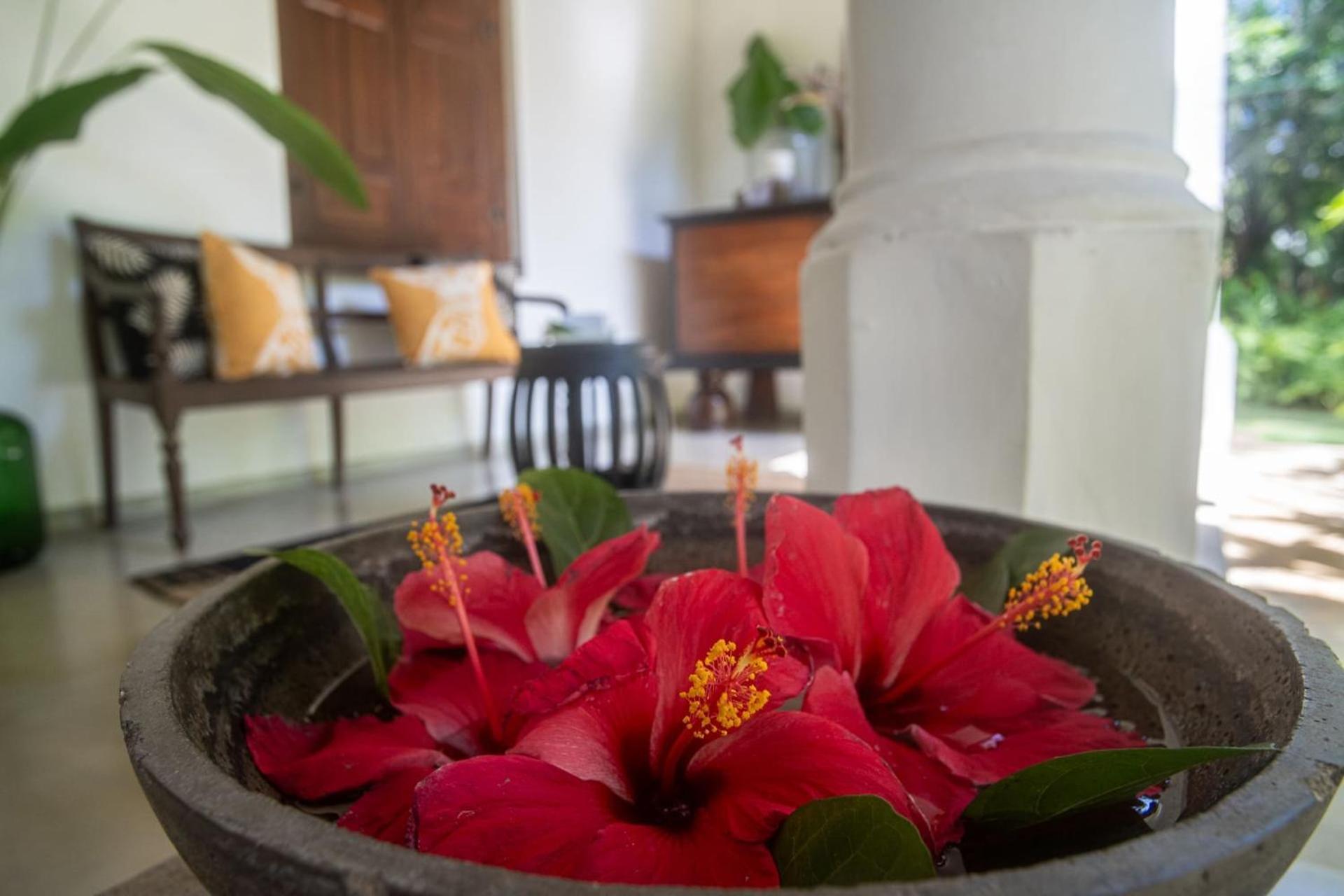 Mo River House Luxury Villa ヒッカドゥワ エクステリア 写真