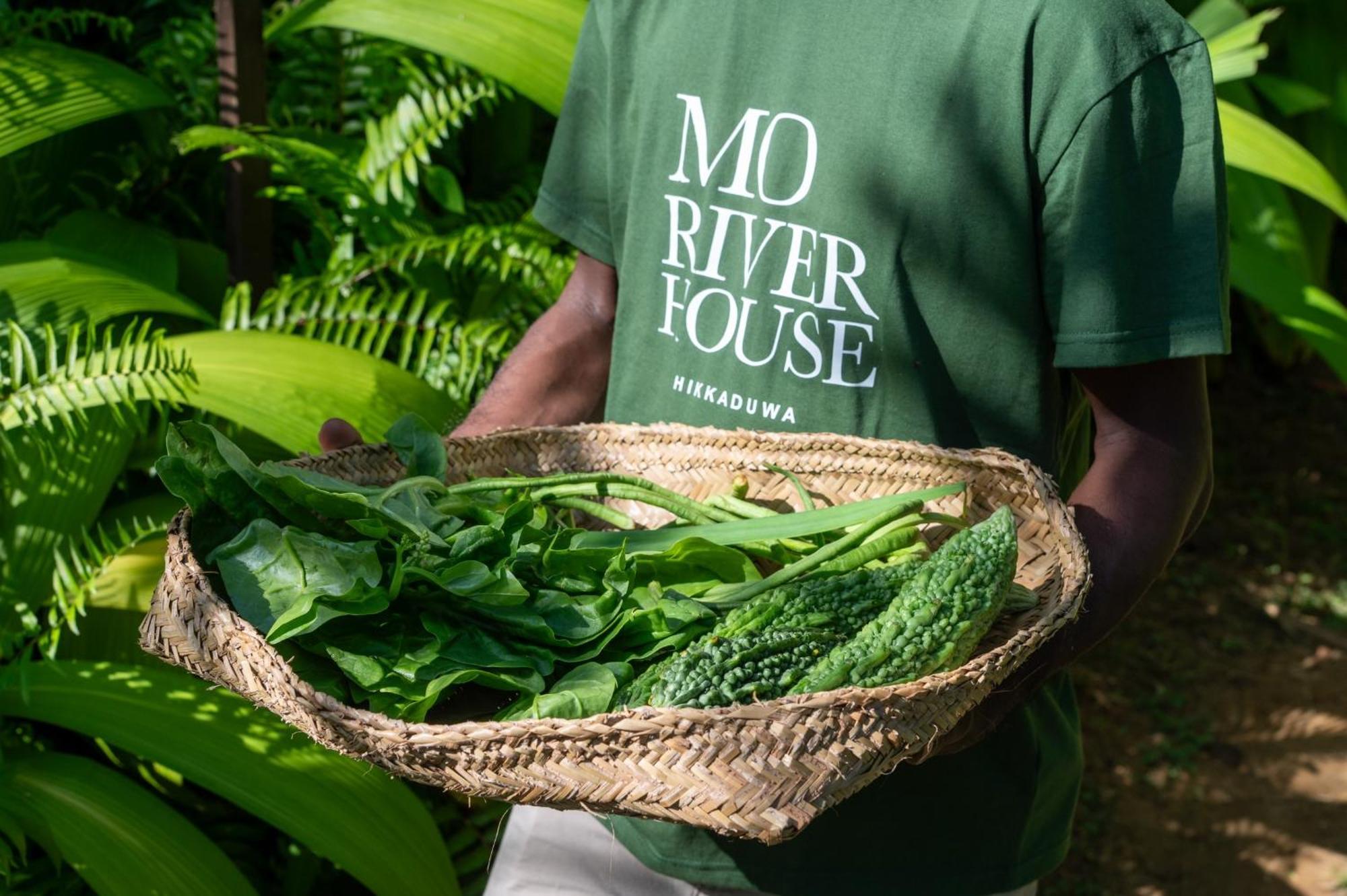 Mo River House Luxury Villa ヒッカドゥワ エクステリア 写真